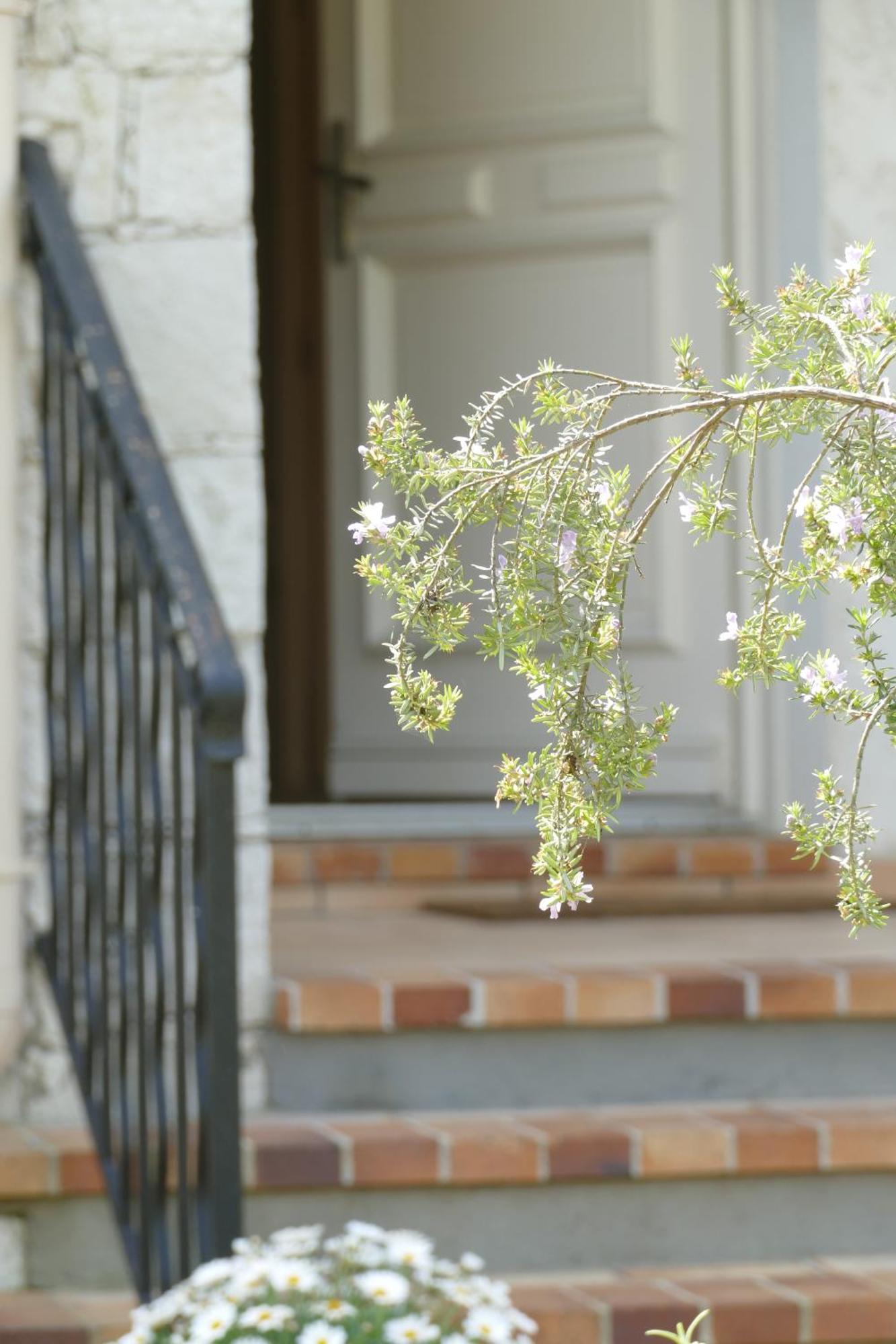 Villa Alessia Антиб Екстериор снимка