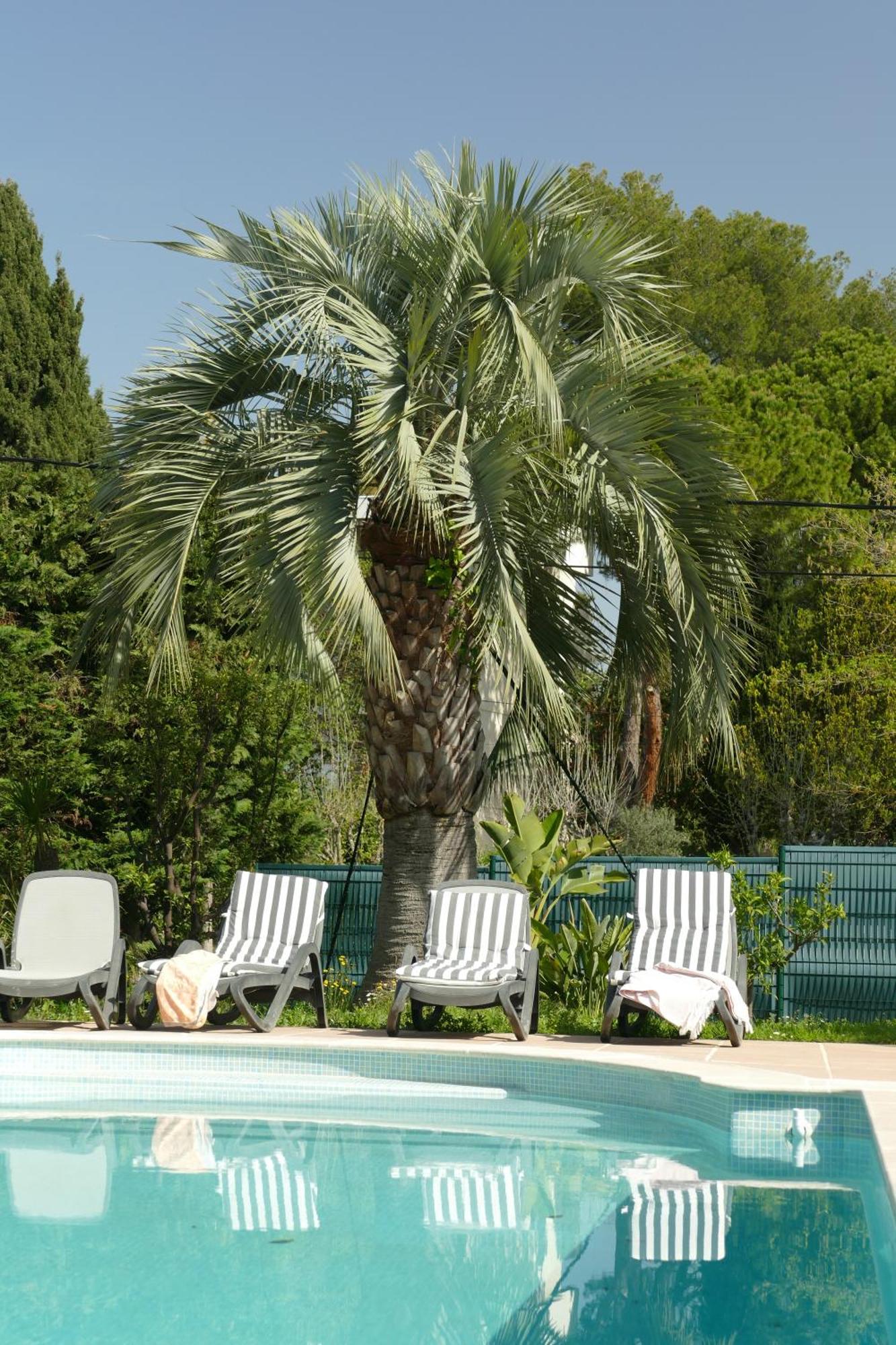 Villa Alessia Антиб Екстериор снимка