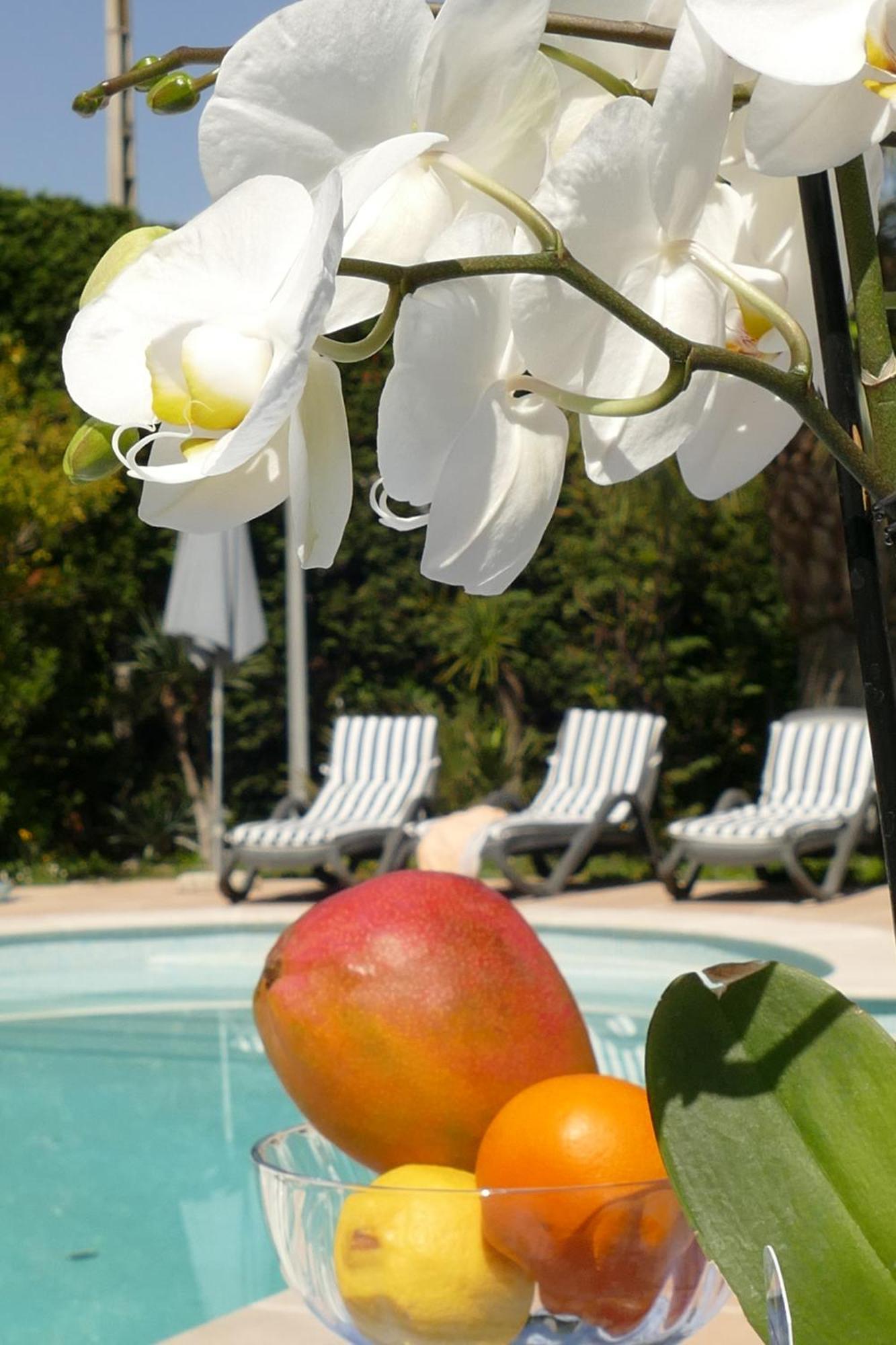 Villa Alessia Антиб Екстериор снимка